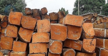 Đấu giá 256,735m3 gỗ ghép cao su tồn kho và quyền sử dụng đất tại tỉnh Gia Lai
