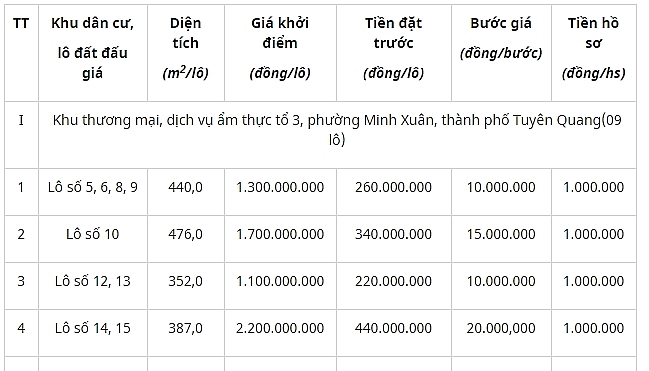 dau gia quyen su dung dat tai thanh pho tuyen quang tinh tuyen quang