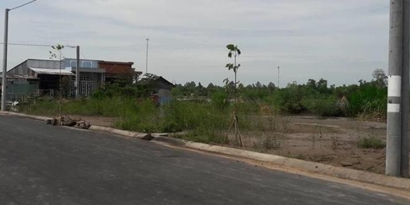 Lịch đấu giá quyền sử dụng đất tại huyện Lấp Vò, tỉnh Đồng Tháp