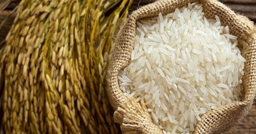 Cập nhật giá gạo chiều ngày 11/11: Gạo Việt xuất khẩu giữ mức ổn định