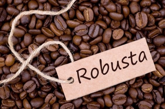 Giá cà phê hôm nay 28/11: Duy trì mức 33 triệu đồng/tấn