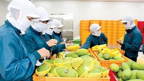 Việt Nam cần chủ động tiếp cận và khai thác cơ hội xuất khẩu vào thị trường Nga