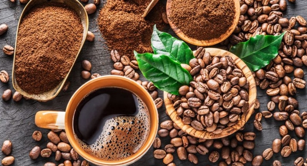 Giá cà phê hôm nay 8/11/2021: Xuất khẩu cà phê Việt có thể lập lại kỷ lục 3 tỷ USD?