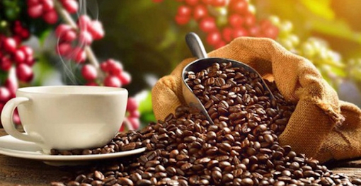 Giá cà phê hôm nay 23/11/2021: Điều chỉnh trái chiều