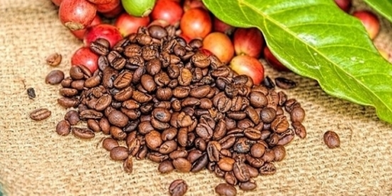Giá cà phê hôm nay 26/11/2021: Thị trường cà phê có thể đạt đỉnh vào cuối năm?