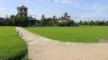 Đấu giá quyền sử dụng các thửa đất tại huyện Tây Hòa, tỉnh Phú Yên