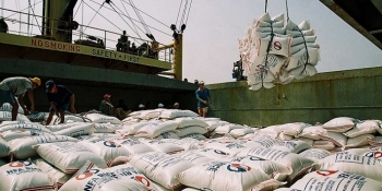 Giá xuất khẩu lúa gạo Việt hôm nay 12/12: Ổn định giá, gạo lẻ đứng giá tại chợ