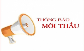 Điểm tin mời thầu ngày 18/12/2019