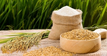 Giá xuất khẩu lúa gạo Việt hôm nay 23/12: Tăng mạnh