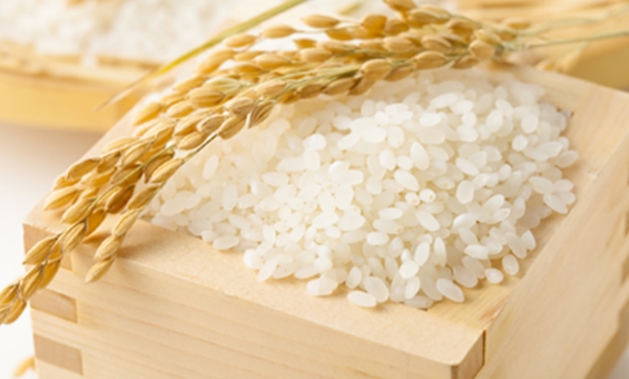 Giá gạo hôm nay 10/12: Các tỉnh ĐBSCL điều chỉnh tăng nhẹ