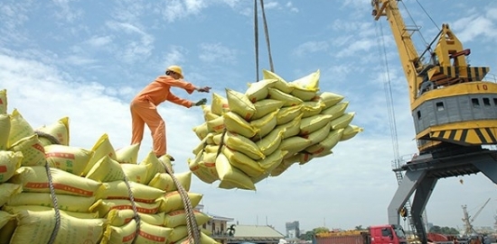 Cập nhật giá gạo chiều ngày 11/12: Gạo Việt xuất khẩu giữ mức cao