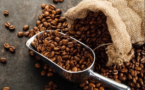 Tháng 11/2020, thị trường cà phê trong nước tiếp tục phục hồi nhờ nhu cầu tăng