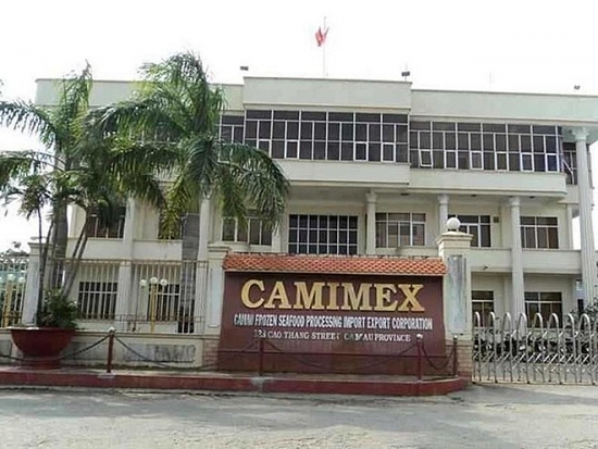 camimex group cmx tang truong but toc quy i2022