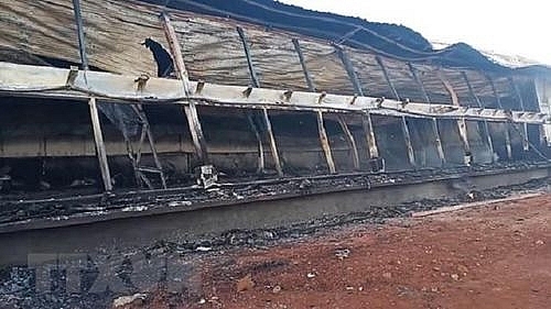 Vụ cháy trại lợn tại Bình Phước: Công ty bảo hiểm vào cuộc