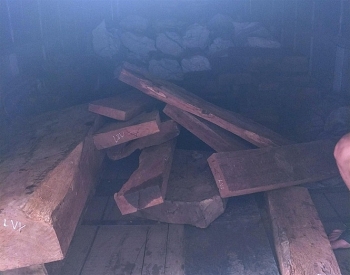 Thanh Hóa: Bắt giữ 5,427 m3 gỗ quý hiếm không có giấy tờ hợp lệ