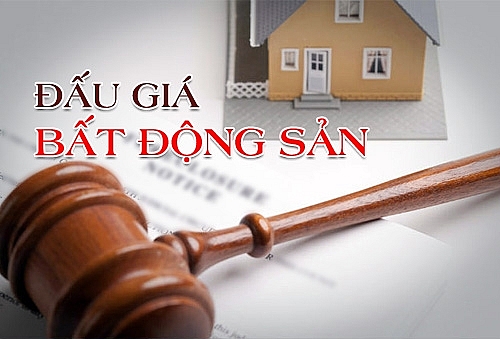 Chuẩn bị đấu giá 43 lô đất tại huyện Nga Sơn (Thanh Hóa)