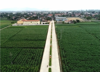 Vĩnh Lộc (Thanh Hóa): Tái cơ cấu ngành nông nghiệp tạo bước đột phá về đích nông thôn mới