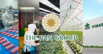 PAN Group chuẩn bị phát hành hơn 43,2 triệu cổ phiếu thưởng
