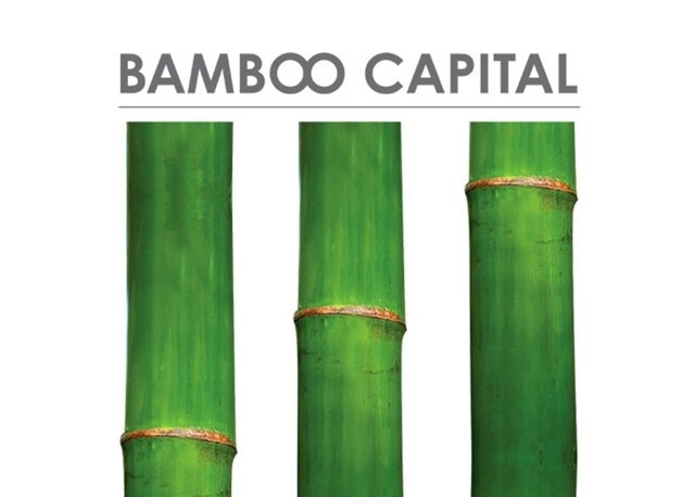2803-bamboo-c