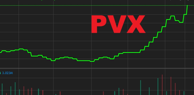 PVX có lãi trở lại sau nhiều năm thua lỗ, cổ phiếu lập tức tăng trần