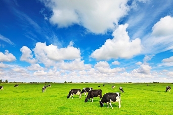 Vinamilk ký hợp đồng xuất khẩu sữa 20 triệu USD ở Dubai