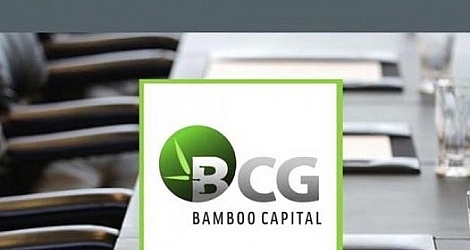 Bamboo Capital xin gia hạn họp đại hội cổ đông 2021