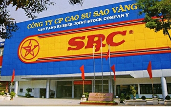 cao su sao vang bat tay tap doan hoanh son thanh lap cong ty von dieu le 500 ty dong