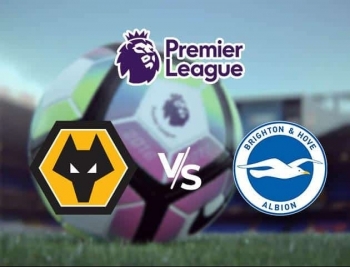 Bóng đá Ngoại hạng Anh: Wolves vs Brighton (22h00 ngày 7/3/2020)