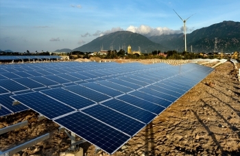 Ninh Thuận đầu tư nhà máy điện mặt trời 450MW