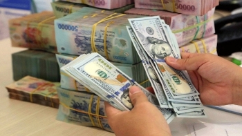 Dự trữ ngoại hối Việt Nam tăng 4 tỷ USD so cuối năm 2019