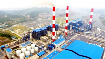 Nhiệt điện Quảng Ninh lỗ 6 tỉ đồng trong quý 1/2020