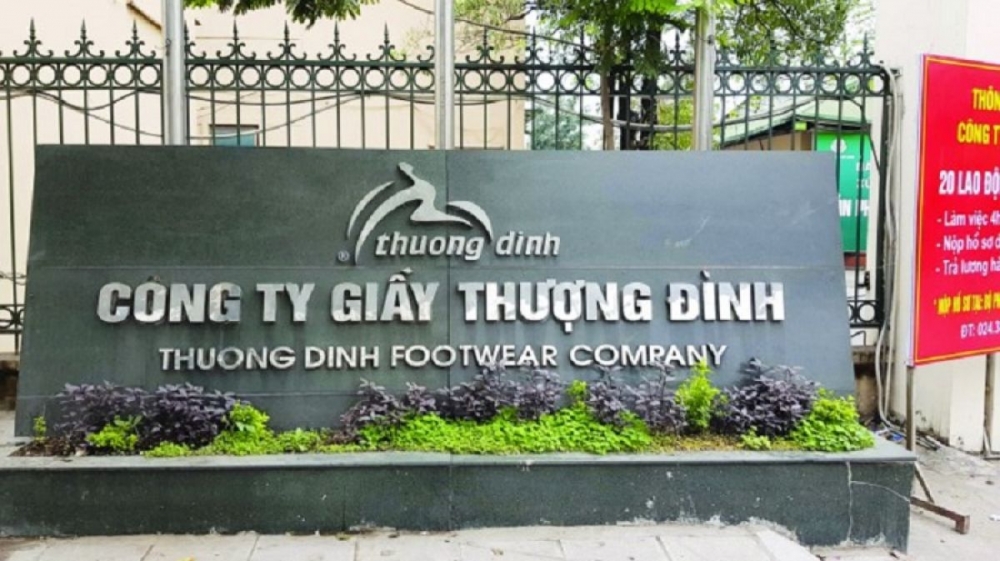 giay thuong dinh gtd trong nam 2019 dat muc tieu co lai 50 trieu dong