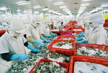 Thủy sản Minh Phú dự kiến lãi trước thuế 1,430 tỷ đồng cho năm 2019