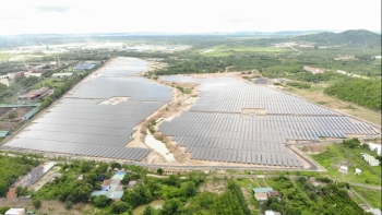 GEG vận hành thương mại nhà máy điện mặt trời thứ 5, chiếm 12% thị phần cả nước