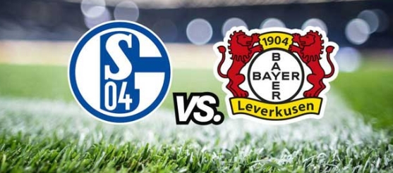 Schalke 04 vs Bayer Leverkusen, 23h00 ngày 14/6, bóng đá Đức 2020