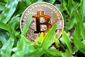 Giá bitcoin hôm nay 8/7: Sắc xanh trong phiên đầu tuần