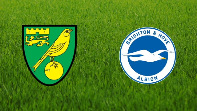 Norwich vs Brighton, 18h30 ngày 4/7, bóng đá Ngoại hạng Anh 2020