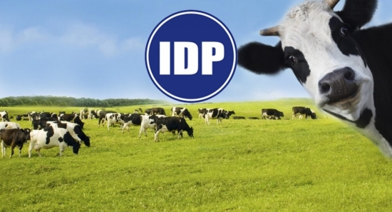 Sữa Quốc tế (IDP) chốt quyền trả cổ tức 2021 tỷ lệ 50% bằng tiền