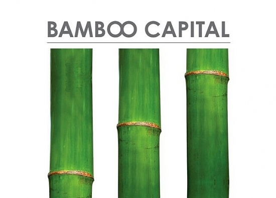 Bamboo Capital (BCG) phát hành thêm cổ phiếu để hoán đổi nợ
