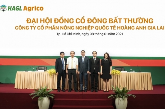 Tin vui cho cổ đông HAGL Agrico (HNG): Công ty của tỷ phú Trần Bá Dương sẽ tiếp tục “bơm” 600 tỷ đồng