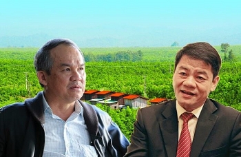 Chủ tịch Thaco chính thức trở thành cổ đông lớn của Nông nghiệp Quốc tế HAGL