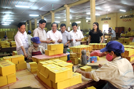 cap tra co tuc bang tien dot 22018 theo ty le 40