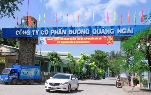 Đường Quảng Ngãi (QNS) chấm dứt hoạt động Nhà máy Đường Phổ Phong