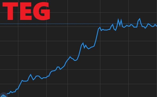 TEG Group (TEG) chốt quyền trả cổ tức năm 2020 và chào bán gần 31,6 triệu cổ phiếu
