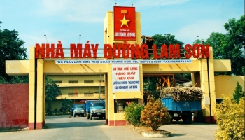 Mía đường Lam Sơn muốn thu hồi vốn tại Đường Nông Cống