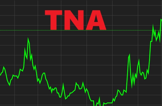 Thiên Nam Group (TNA): Phát hành thêm cổ phiếu tăng vốn, trả cổ tức và ESOP giá 0 đồng