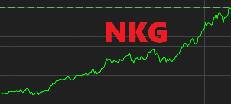Chốt lời 15 triệu cổ phiếu NKG, CEO Võ Hoàng Vũ không còn là cổ đông lớn của Thép Nam Kim