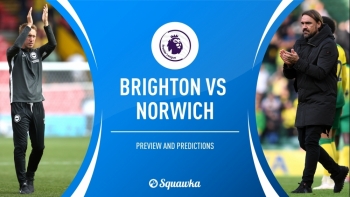 Bóng đá Ngoại hạng Anh 2019/2020: Brighton vs Norwich City (VÒNG 11 - 22h00 ngày 2/11)