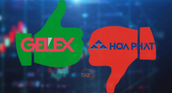 Cổ đông Gelex có thêm hơn 8.200 tỷ đồng trong tuần qua, cổ đông Hòa Phát tạm mất 29.500 tỷ