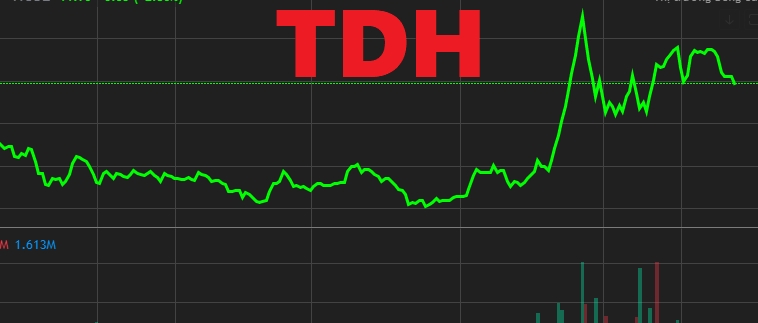 Thuduc House (TDH): Tổng Giám đốc bị bắt vì tội lừa đảo, giá cổ phiếu trượt dốc